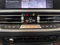 BMW 320 e Advantage *LED*SHZ*PDC*Navi*Kamera*CarPlay* Schwarz - thumbnail 27
