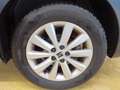 SEAT Ibiza Style 1.0 TSI NAVI KAM SHZ LED PDC GJR Grau - thumbnail 7
