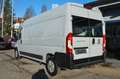 Fiat Ducato Kasten 35 180 L4H2*3-SITZE*KLIMA*STHZ*AHK - thumbnail 3