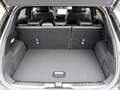 Ford Puma ST-LINE X 1.0 125PS -FACELIFT- Winter FAP LED Matr Nero - thumbnail 14