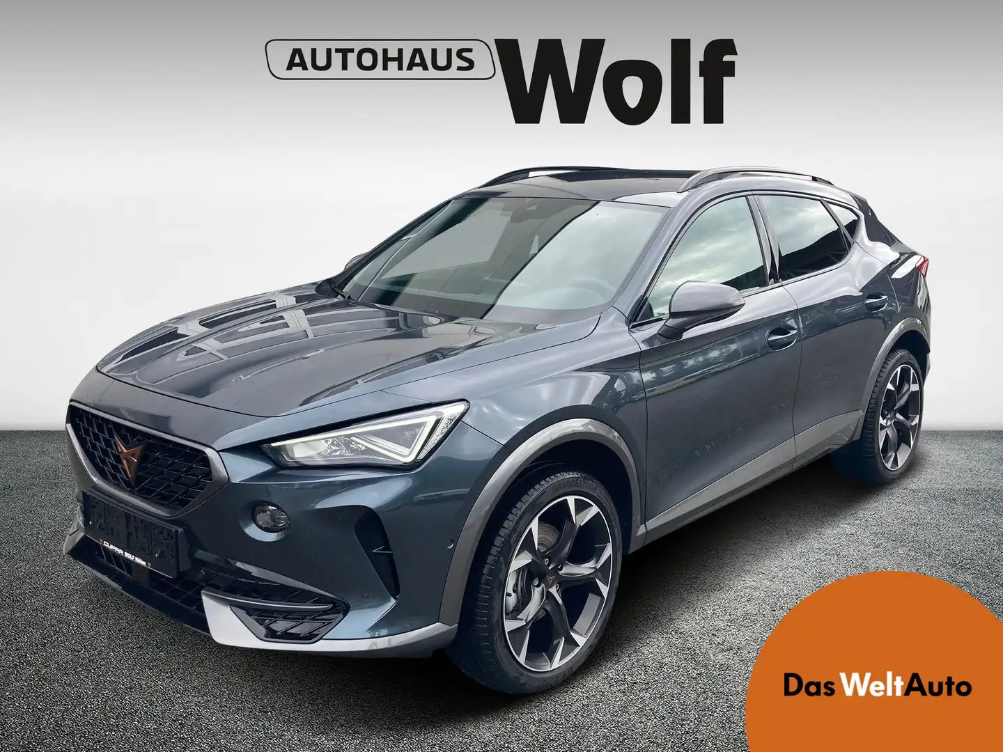 CUPRA Formentor 2.0 TSI 190 PS DSG 4Drive Gris - 1