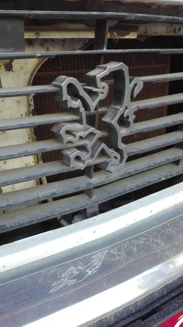 Peugeot 304 Бежевый  - 2