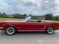 Ford Mustang 66er V8 Cabriolet Liebhabergepflegt Rouge - thumbnail 5