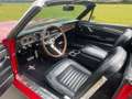 Ford Mustang 66er V8 Cabriolet Liebhabergepflegt Rouge - thumbnail 6