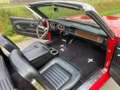 Ford Mustang 66er V8 Cabriolet Liebhabergepflegt Rouge - thumbnail 7