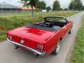 Ford Mustang 66er V8 Cabriolet Liebhabergepflegt Rouge - thumbnail 4
