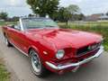 Ford Mustang 66er V8 Cabriolet Liebhabergepflegt Rouge - thumbnail 2