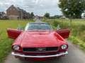 Ford Mustang 66er V8 Cabriolet Liebhabergepflegt Rouge - thumbnail 9
