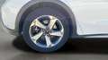 Ford Focus 1.0 Ecoboost Active 125 Blanco - thumbnail 21