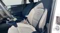 Ford Focus 1.0 Ecoboost Active 125 Blanco - thumbnail 11