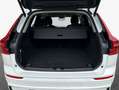 Volvo XC60 XC60 B5 B AWD Plus Dark Weiß - thumbnail 9