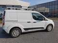 Ford Transit Connect Transit Connect L2 240 Doppelkabine 1,6 TDCi Ambiente Ambiente Weiß - thumbnail 3