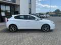 Alfa Romeo Giulietta Giulietta 1.4 Turbo 120 CV Super Bianco - thumbnail 3