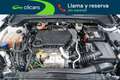 Ford Focus 1.5 Ecoblue Trend+ 120 Blanco - thumbnail 35