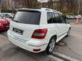 Mercedes-Benz GLK 220 CDI BlueEfficiency 4Matic Tüv neu 1 hand Weiß - thumbnail 8