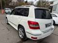Mercedes-Benz GLK 220 CDI BlueEfficiency 4Matic Tüv neu 1 hand Weiß - thumbnail 6