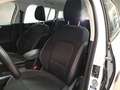 Ford Focus WAGON 1.5 Ecoblue 120cv Business Co-Pilot Auto - thumbnail 9