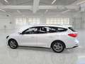Ford Focus WAGON 1.5 Ecoblue 120cv Business Co-Pilot Auto - thumbnail 5
