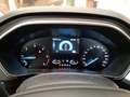 Ford Focus WAGON 1.5 Ecoblue 120cv Business Co-Pilot Auto - thumbnail 8
