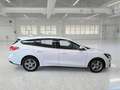 Ford Focus WAGON 1.5 Ecoblue 120cv Business Co-Pilot Auto - thumbnail 3