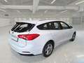 Ford Focus WAGON 1.5 Ecoblue 120cv Business Co-Pilot Auto - thumbnail 4