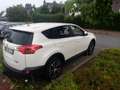 Toyota RAV 4 RAV 4 2.2 D-4D 4x4 Edition Weiß - thumbnail 3