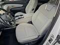 Hyundai TUCSON 1.6 T-GDI PHEV Premium 4WD,360camera,Krell,Leder,S Bianco - thumbnail 15