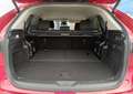 Mazda CX-80 3.3 e-Skyactiv-D MHEV Exclusive-Line AWD Aut. Rojo - thumbnail 22
