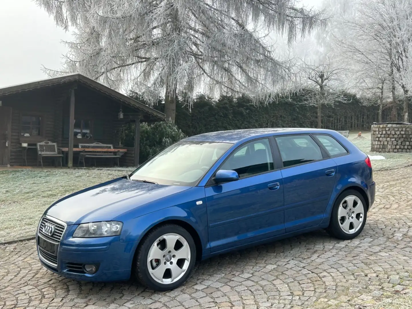 Audi A3 Sportback 2.0TDI Ambition,6Gang,132tkm!!! Blau - 1