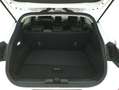 Ford Puma Titanium 1.0 Mild Hybrid 125CV Bianco - thumbnail 14