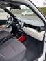 Suzuki Ignis 1.2h iTop 2wd UNIPRO GARANZIA 12 Mesi - thumbnail 12