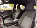 Ford Puma 1.0i MHEV 125pk - ST-Line - 1Dags Grijs - thumbnail 11