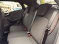 Ford Puma 1.0i MHEV 125pk - ST-Line - 1Dags Grijs - thumbnail 12