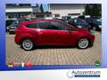 Ford Focus 1.6 Ecoboost Titanium *XENON*SD*NAVI* Violett - thumbnail 20