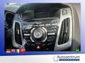 Ford Focus 1.6 Ecoboost Titanium *XENON*SD*NAVI* Violett - thumbnail 12
