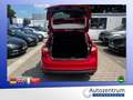 Ford Focus 1.6 Ecoboost Titanium *XENON*SD*NAVI* Violett - thumbnail 18