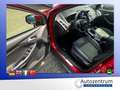 Ford Focus 1.6 Ecoboost Titanium *XENON*SD*NAVI* Violett - thumbnail 5