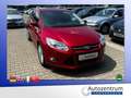 Ford Focus 1.6 Ecoboost Titanium *XENON*SD*NAVI* Violett - thumbnail 3