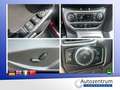 Ford Focus 1.6 Ecoboost Titanium *XENON*SD*NAVI* Violett - thumbnail 16
