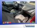 Ford Focus 1.6 Ecoboost Titanium *XENON*SD*NAVI* Violett - thumbnail 9