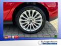 Ford Focus 1.6 Ecoboost Titanium *XENON*SD*NAVI* Violett - thumbnail 17