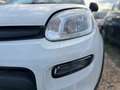 Fiat New Panda 1.0 FireFly Hybrid Weiß - thumbnail 3