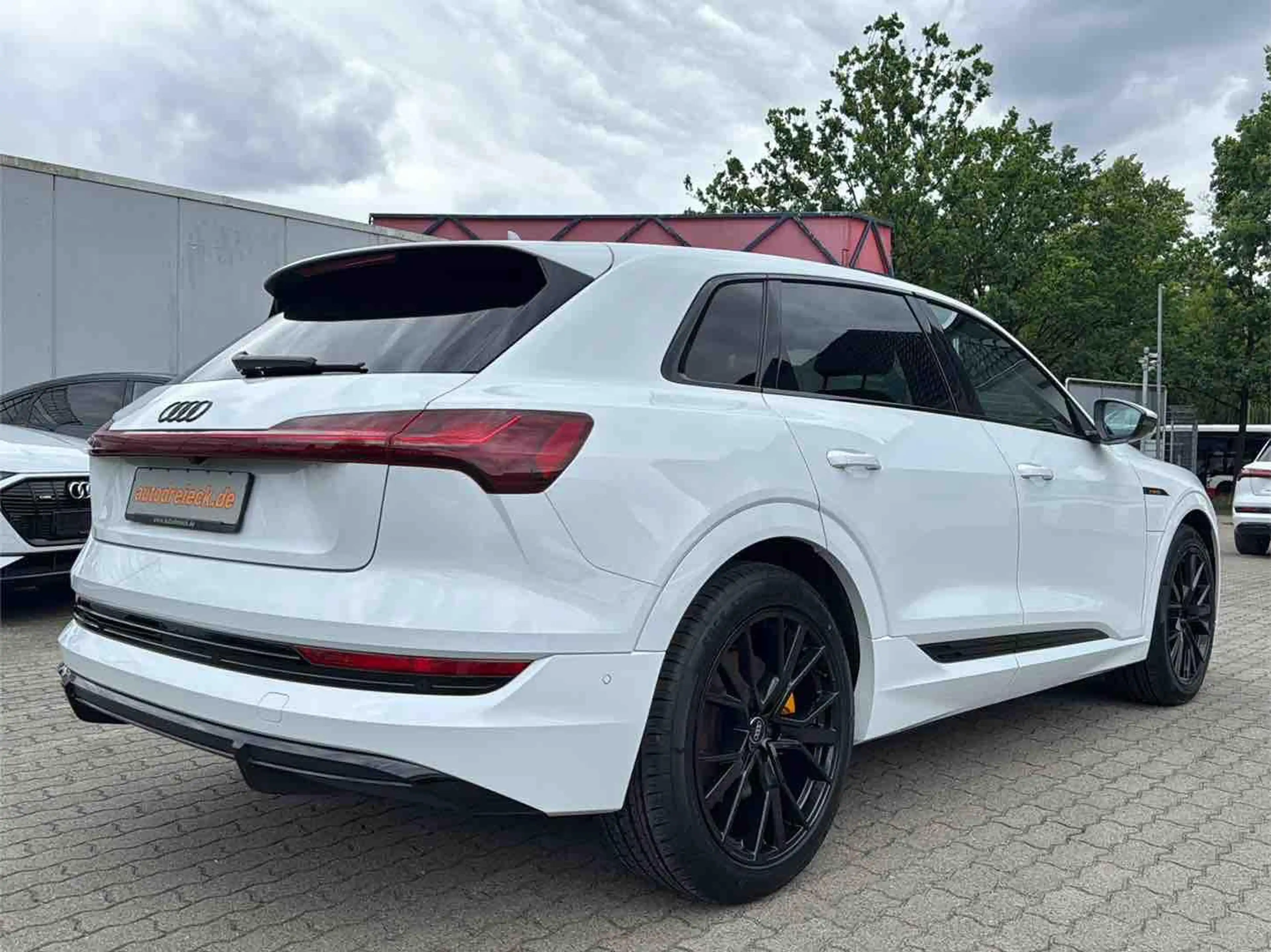 Audi e-tron 50 S line BLACK PANO 21Z KAMERA SHZ — photo 7