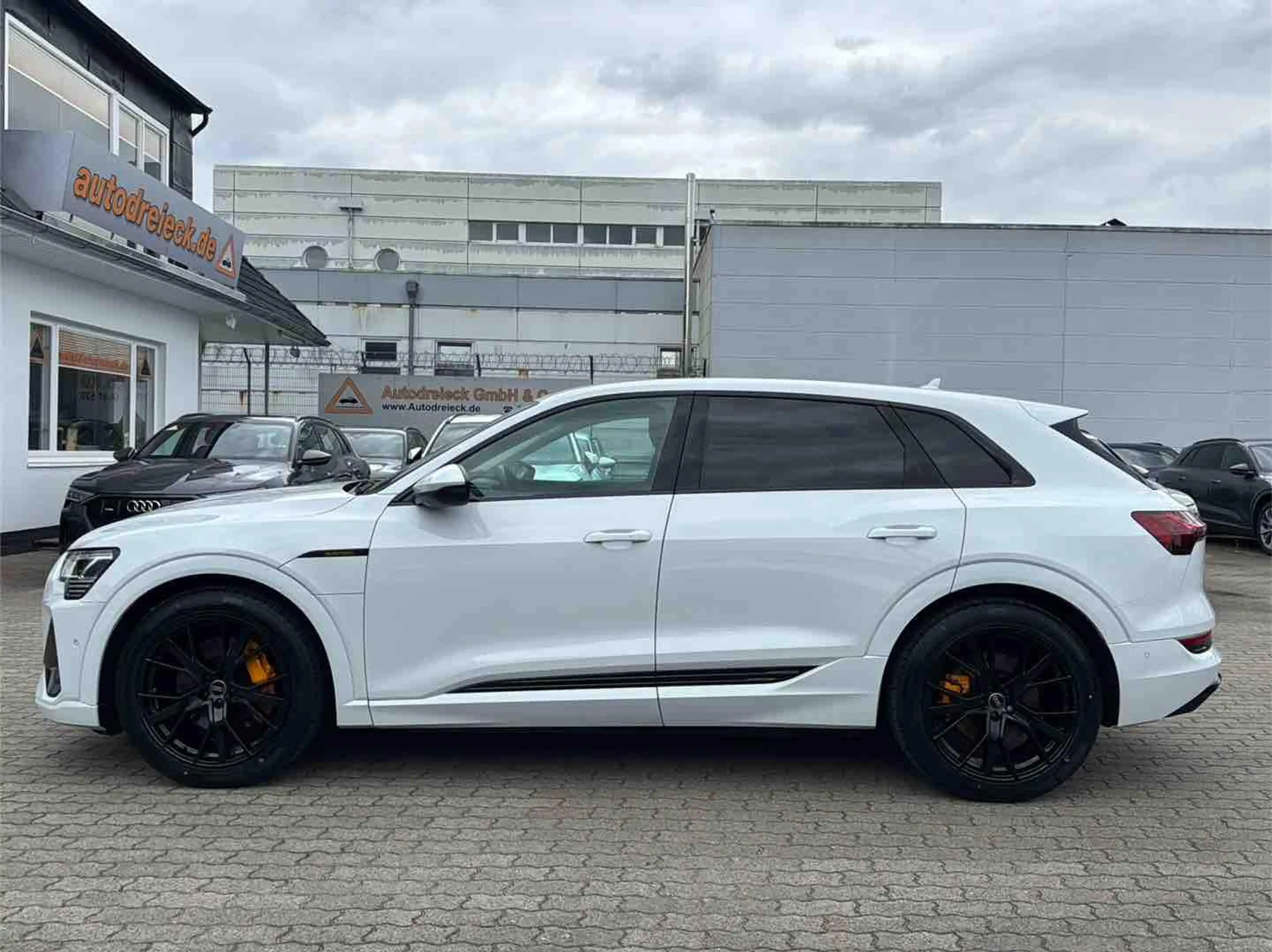 Audi e-tron 50 S line BLACK PANO 21Z KAMERA SHZ — photo 11