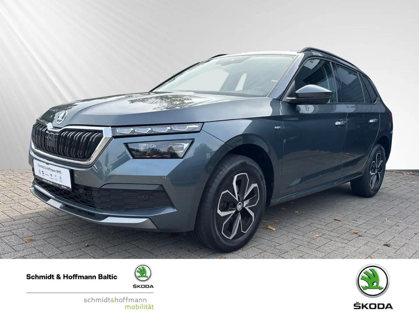 Skoda Kamiq Drive 125 Klima Einparkhilfe Kurvenlicht Grau - 1