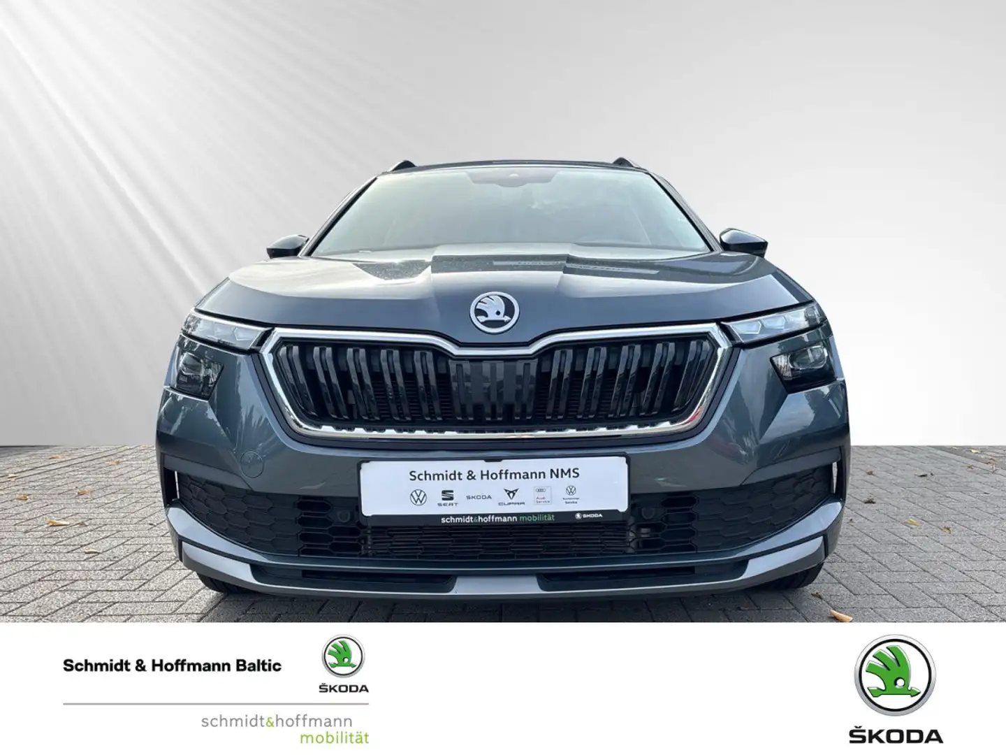 Skoda Kamiq Drive 125 Klima Einparkhilfe Kurvenlicht Grau - 2
