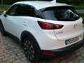 Mazda CX-3 CX-3 SKYACTIV-G 121 FWD Signature Weiß - thumbnail 3