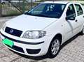 Fiat Punto 1.3 JTD Multijet Active Blanco - thumbnail 1