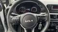 Kia Picanto 1.0 DPi Concept Plateado - thumbnail 14