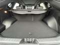 EVO EVO6 6 GLP 1.5 turbo 123kW Negro - thumbnail 6